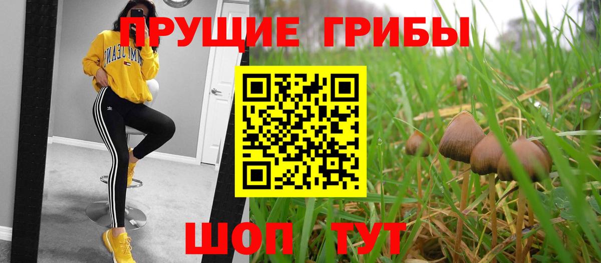 Галлюциногенные грибы мухоморы  Вход с VPN  Энгельс  цены наркотик  Псилоцибиновые грибы ЛСД 